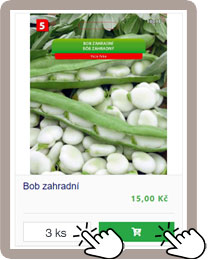 Jak nakupovat 2